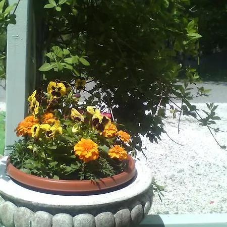 Meteor Mariánské Lázně